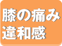膝の痛み・違和感
